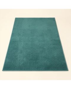 Haupt Vine And Border Textured Weave Teal Indoor/Outdoor Area Rug (synthetic illustration; no displayed measurements)