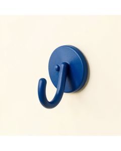 Spruce Crossing Wall-Mounted Robe Hook - Blue (synthetic illustration; no displayed measurements)