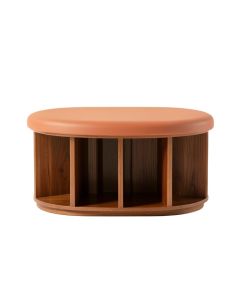 Hazel Arc Shoe Storage Bench (synthetic illustration; no displayed measurements)