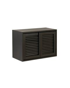 Flint Canyon Wall-Mounted Entry Cabinet - Black (synthetic illustration; no displayed measurements)
