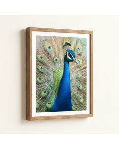 Peacock By Nic Squirrell - Print (synthetic illustration; no displayed measurements)