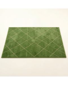 Dune Arc Rectangular Area Rug (synthetic illustration; no displayed measurements)