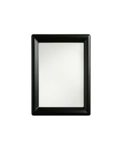 Flint Branch Framed Wall Mirror - Black