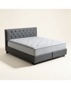 Biggs Tufted Platform Bed (synthetic illustration; no displayed measurements)