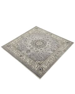 Hillsby Oriental Light Gray/Charcoal Area Rug