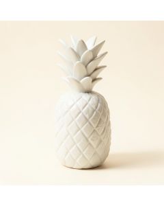 Gaviota Pineapple (synthetic illustration; no displayed measurements)