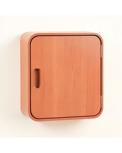 Cliff Arc Wall-Mounted Laundry Cabinet (synthetic illustration; no displayed measurements)