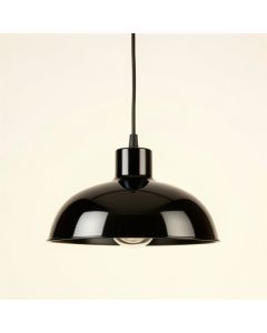 Moss Bluff Pendant Light Suspended From One Plain Cable - Black (synthetic illustration; no displayed measurements)