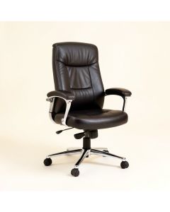 Bally Executive Chair (synthetic illustration; no displayed measurements)