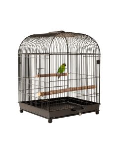 Bremond 23.6 '' Iron Play Top Travel Parrot & Conure With Perch