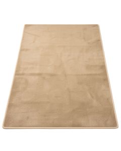 Aster Natural Area Rug (synthetic illustration; no displayed measurements)