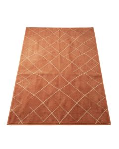 Birch Bluff Rectangular Area Rug - Terracotta (synthetic illustration; no displayed measurements)