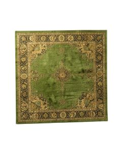Meda Oriental Green Area Rug (synthetic illustration; no displayed measurements)