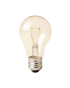 Incandescent Light Bulb