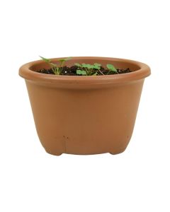 Vanmatre Water Hyacinth Planter Box