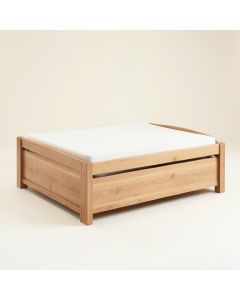Fedai Daybed With Trundle (synthetic illustration; no displayed measurements)