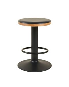 Winterton Adjustable Height Swivel Bar Stool