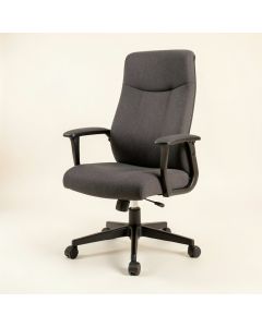 Wynn Executive Chair (synthetic illustration; no displayed measurements)