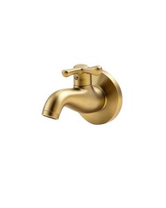 Atrio Wall Mounted Bathroom Faucet