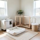 Pet Corner Essentials Collection 01