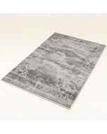 Amilya Gray Rug (synthetic illustration; no displayed measurements)