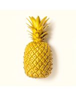 Richland Modern Pineapple Whole Cut On Basketweave Wall Décor (synthetic illustration; no displayed measurements)