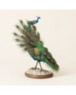 Peacock Maidens Illuminated Figurine (synthetic illustration; no displayed measurements)