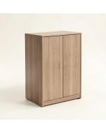 Jaylin Storage Cabinet (synthetic illustration; no displayed measurements)