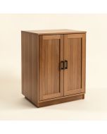 Arthas 2 Door Accent Cabinet (synthetic illustration; no displayed measurements)