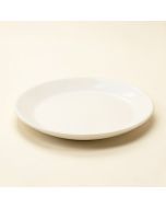 Sandbar Platter (synthetic illustration; no displayed measurements)