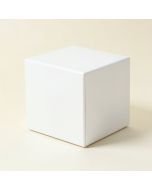Tbridge Freestanding Square Tissue Box Cover (synthetic illustration; no displayed measurements)