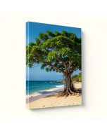 Green Tree On Beach In Kauai Hawaii Photographic Print On Wrapped Canvas (synthetic illustration; no displayed measurements)