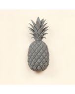 Fuiloro Pineapple Garden Plaque Wall Décor (synthetic illustration; no displayed measurements)