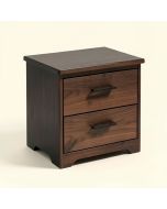 Castana 2 Drawer Nightstand (synthetic illustration; no displayed measurements)