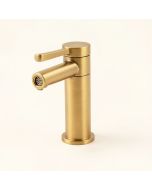 Pamplona Single Hole Bathroom Faucet With Drain Assembly (synthetic illustration; no displayed measurements)