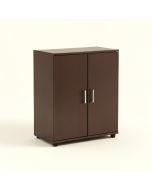 Britania Storage Cabinet (synthetic illustration; no displayed measurements)
