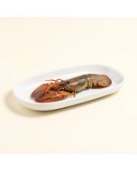 Lobster Long Oval Platter (synthetic illustration; no displayed measurements)