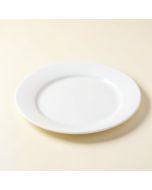 Swirl 9 '' Melamine Salad Plate (synthetic illustration; no displayed measurements)