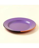 Oasis 9 '' Melamine Salad Plate (synthetic illustration; no displayed measurements)