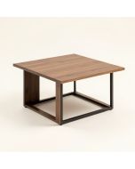 Adoni Coffee Table (synthetic illustration; no displayed measurements)