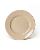 Darrion 11 '' Melamine Dinner Plate (synthetic illustration; no displayed measurements)