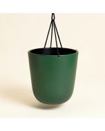 Jake Steel Hanging Planter (synthetic illustration; no displayed measurements)