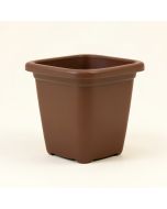 Paquette Self-Watering Plastic Elevated Planter (synthetic illustration; no displayed measurements)