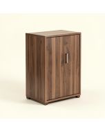 Jaini Storage Cabinet (synthetic illustration; no displayed measurements)