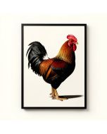 Farm Fresh Rooster By Jean Plout - Wrapped Canvas Graphic Art Print (synthetic illustration; no displayed measurements)