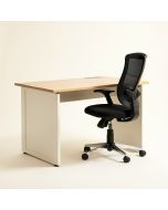 Esyllt Desk And Chair Set (synthetic illustration; no displayed measurements)