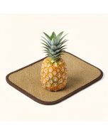 Keppler Pineapple 36 In . X 15 In . Non-Slip Outdoor Boot Tray (synthetic illustration; no displayed measurements)