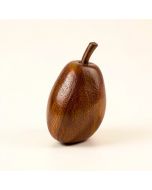 Mango (synthetic illustration; no displayed measurements)