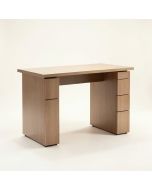 Carine Desk (synthetic illustration; no displayed measurements)