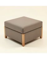 18 '' Square Standard Ottoman (synthetic illustration; no displayed measurements)